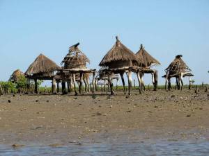 L'Ile aux coquillages, Sénégal